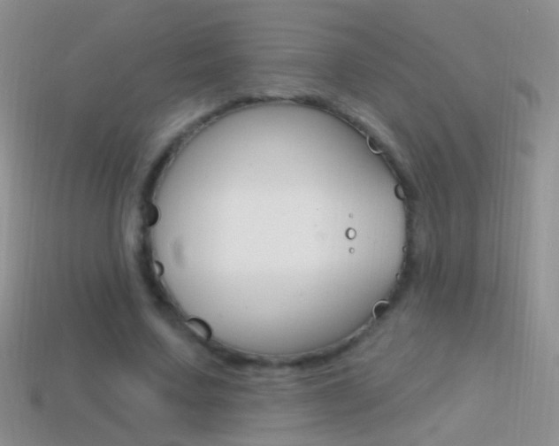 X0000114720683200910211052