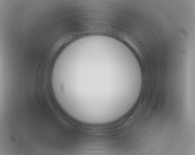 X0000114720685200910211052