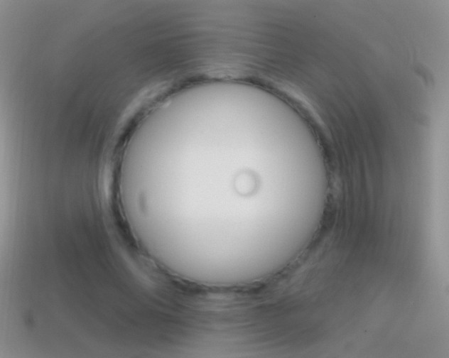 X0000114720686200910211052