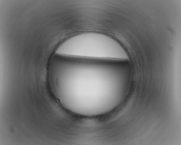 X0000114720689200910211052
