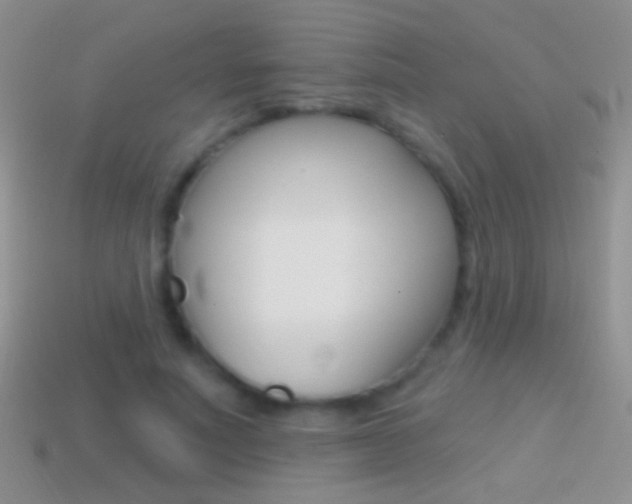 X0000114720691200910211052