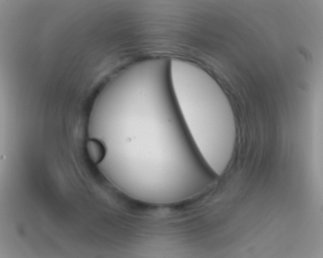X0000114720695200910211052
