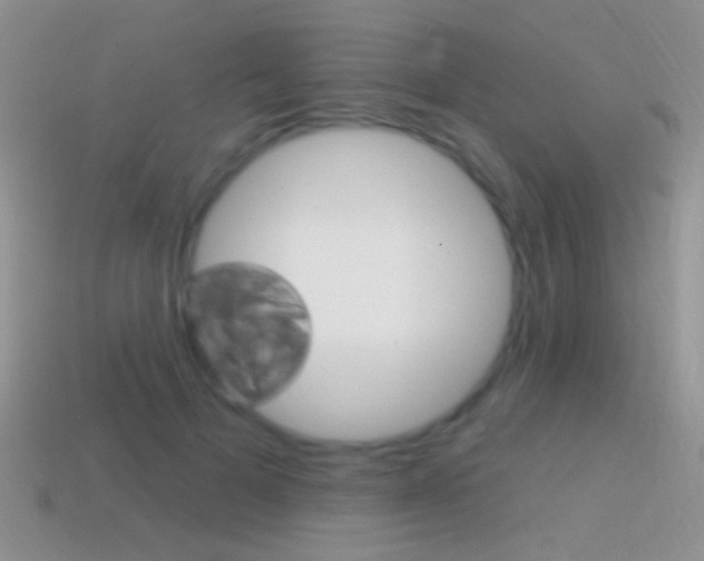 X0000114720697200910211052
