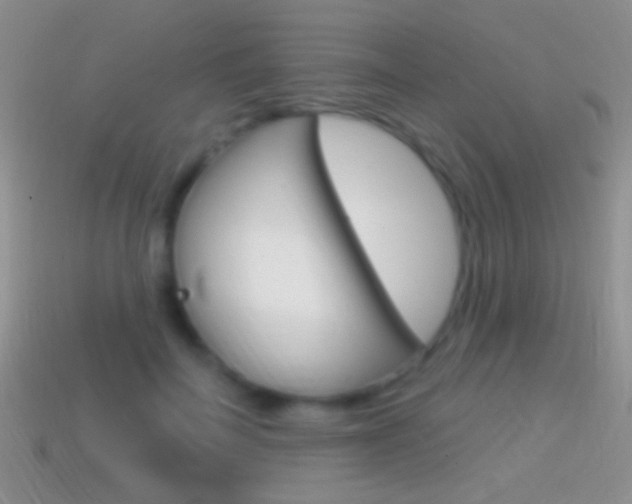 X0000114720699200910211052