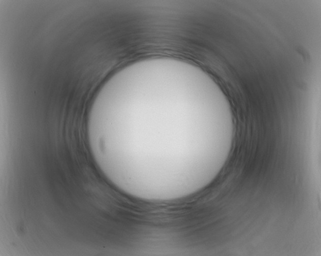 X0000114720700200910211052