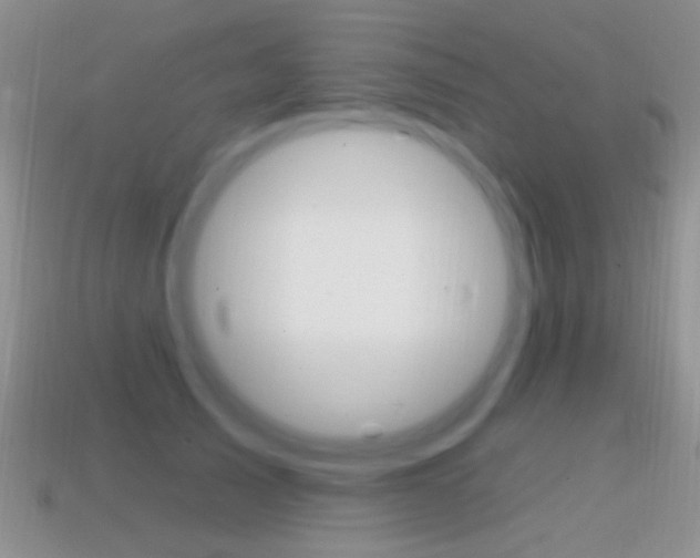X0000114720705200910211051