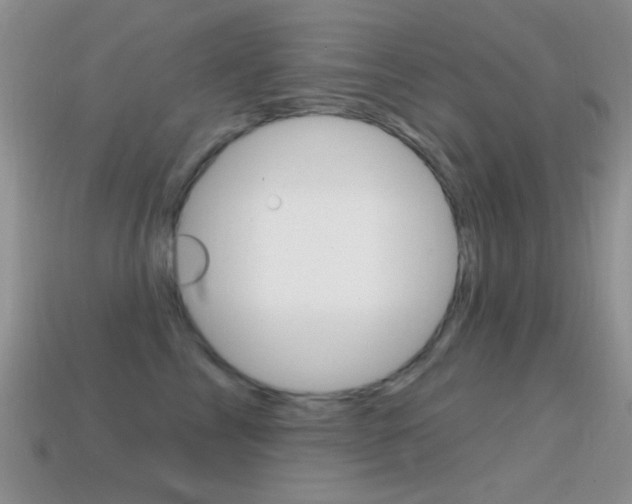 X0000114720713200910211051