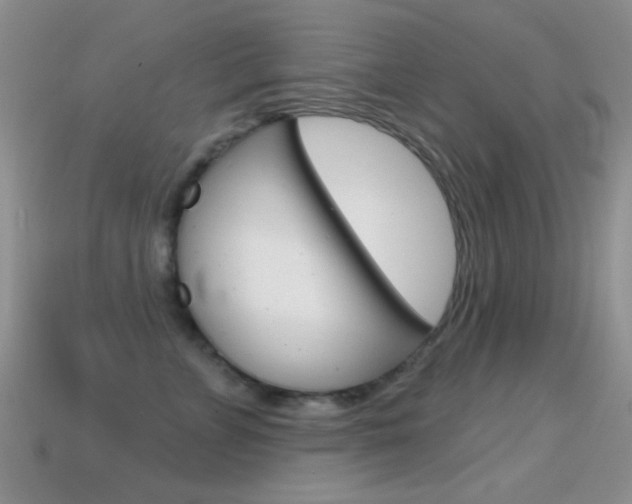 X0000114720715200910211051