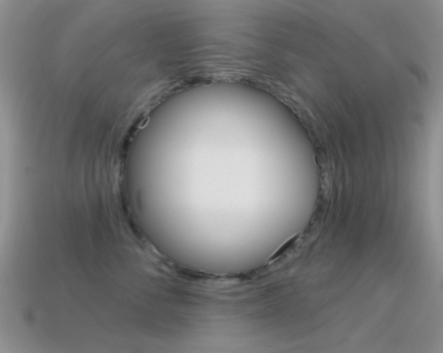X0000114720716200910211051