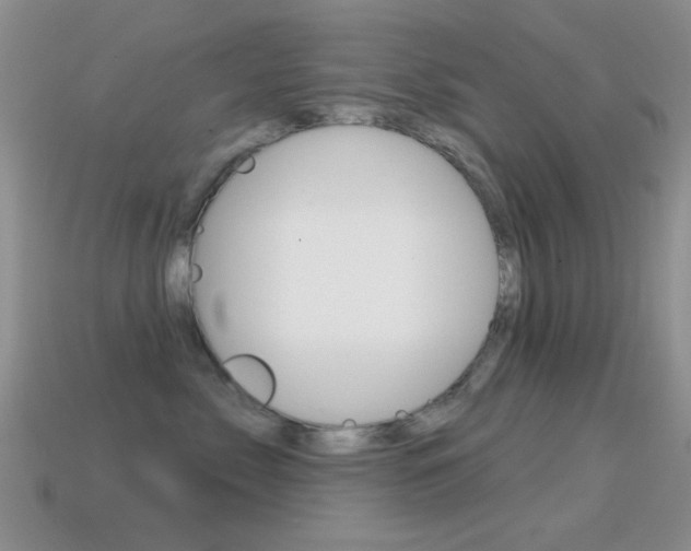 X0000114720717200910211051