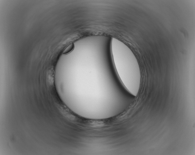 X0000114720719200910211051