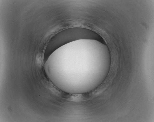 X0000114720720200910211051
