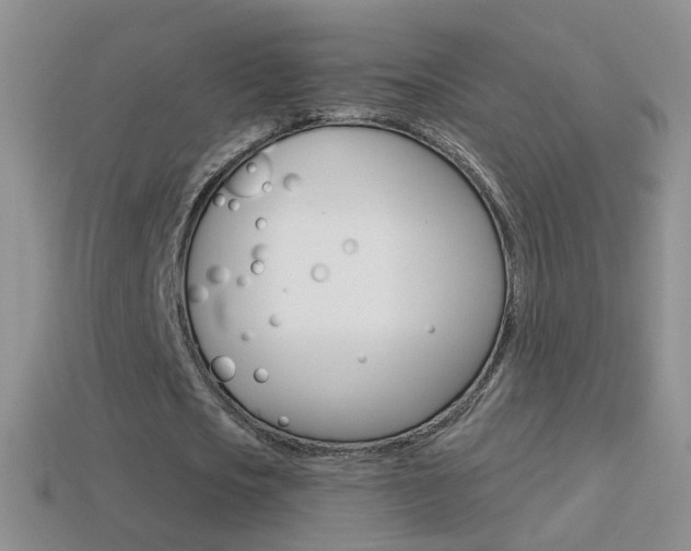 X0000114720721200910211051
