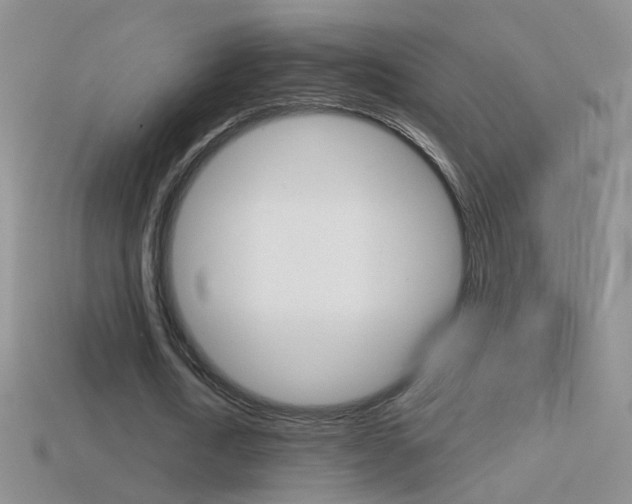 X0000114720722200910211051