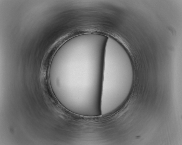 X0000114720723200910211051