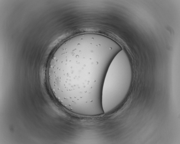 X0000114720725200910211051