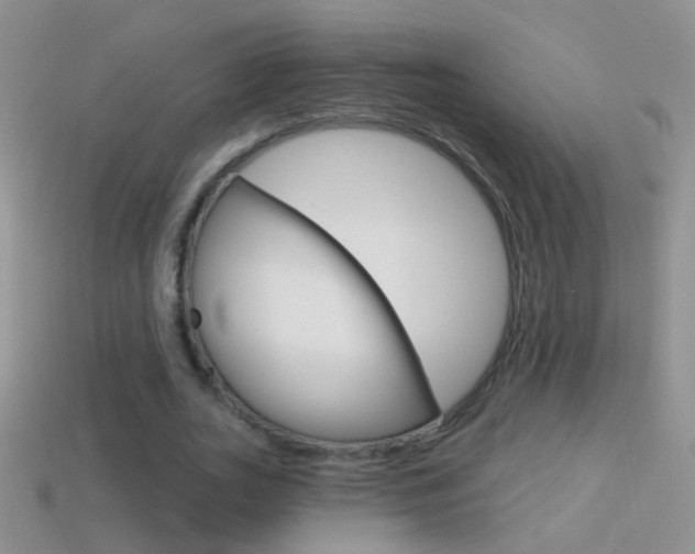 X0000114720727200910211051