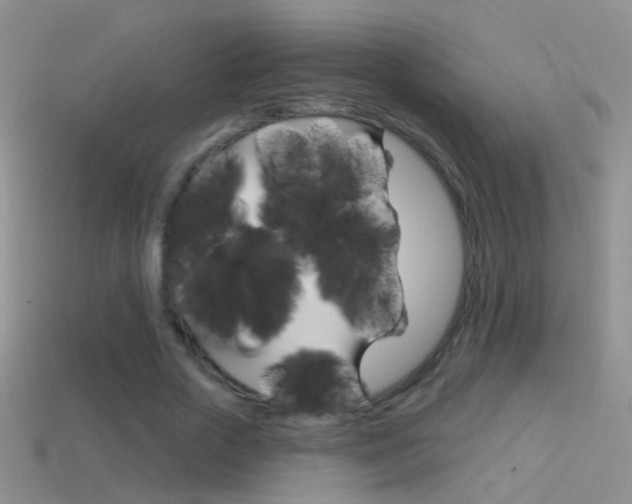 X0000114720729200910211051