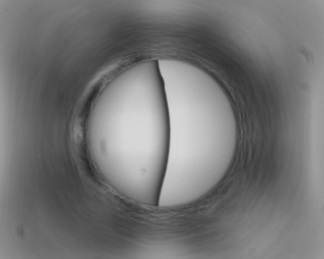 X0000114720731200910211051