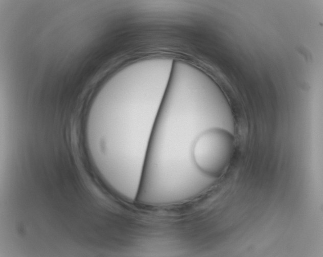 X0000114720734200910211051