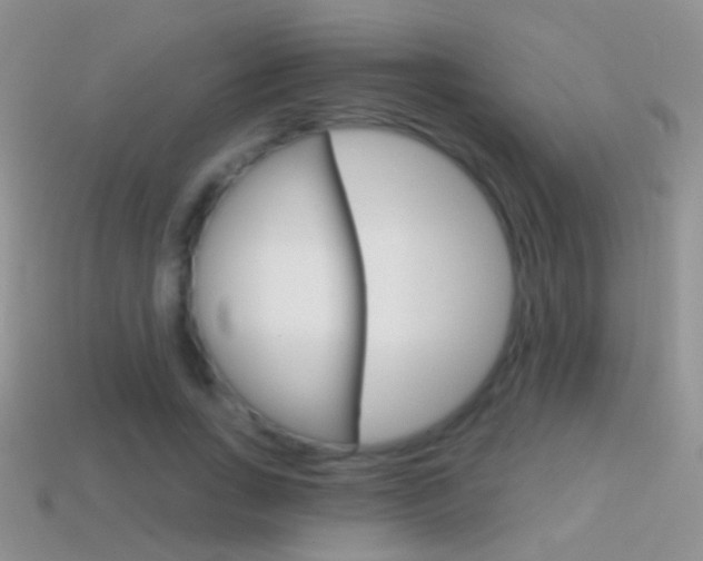 X0000114720735200910211051