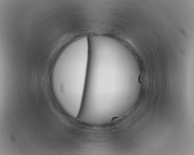 X0000114720738200910211051