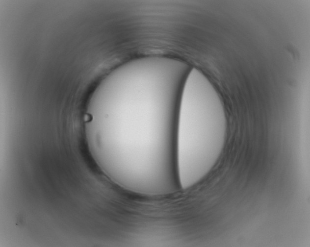 X0000114720743200910211051