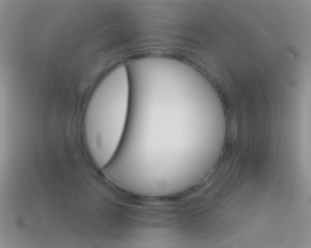 X0000114720746200910211051