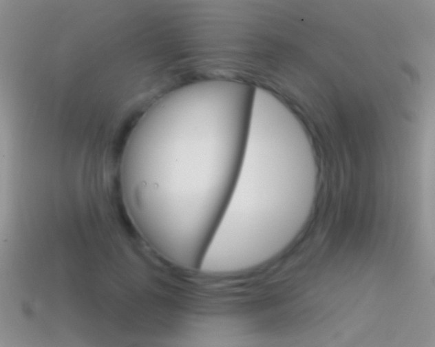 X0000114720747200910211051