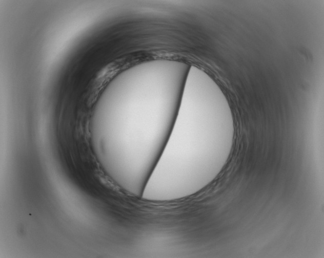 X0000114720763200910211051