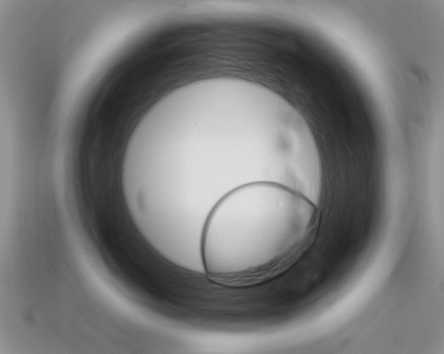 X0000114720766200910211051