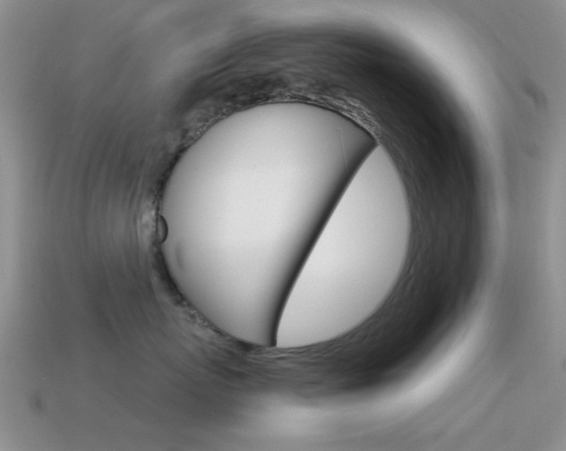 X0000114720767200910211051