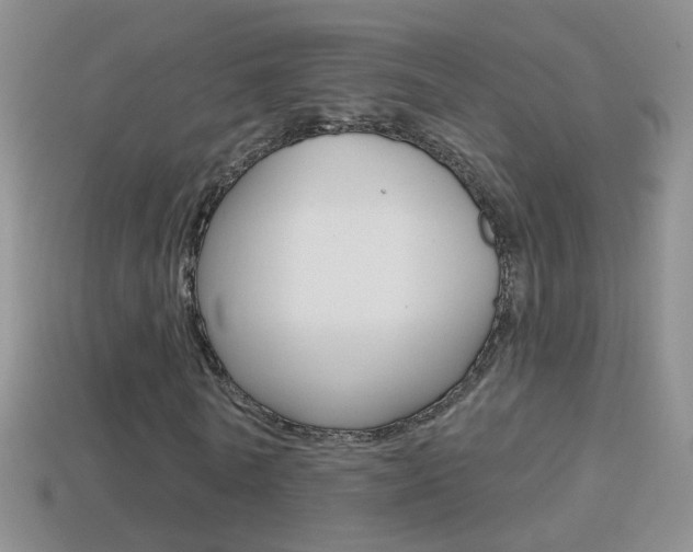 X0000114720770200910211050