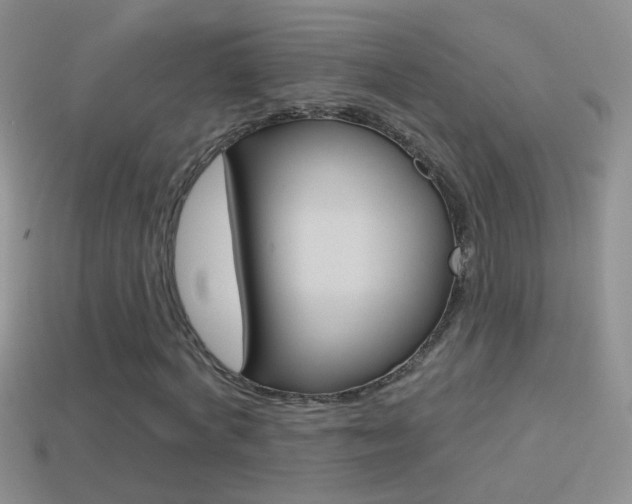 X0000114720772200910211050