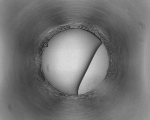 X0000114720773200910211050
