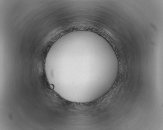 X0000114720774200910211050