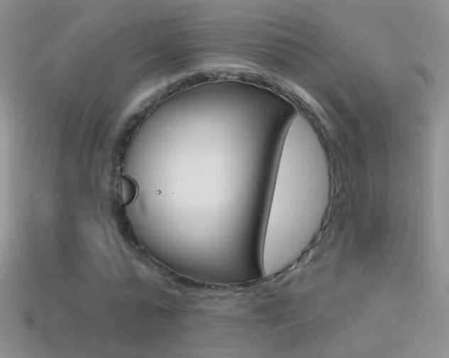 X0000114720775200910211050