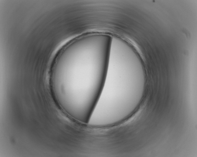 X0000114720779200910211050