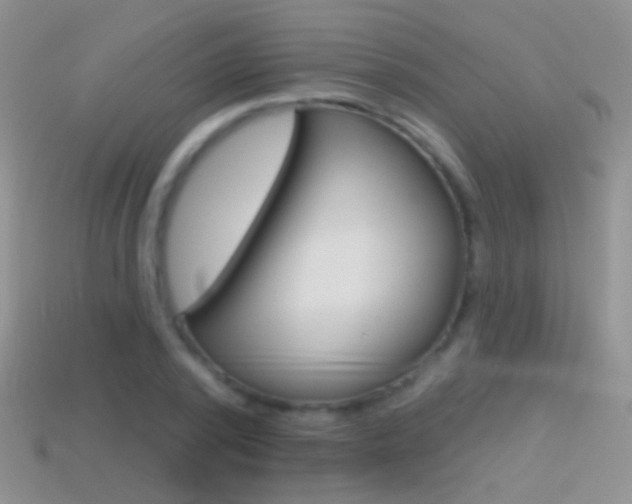 X0000114720784200910211050