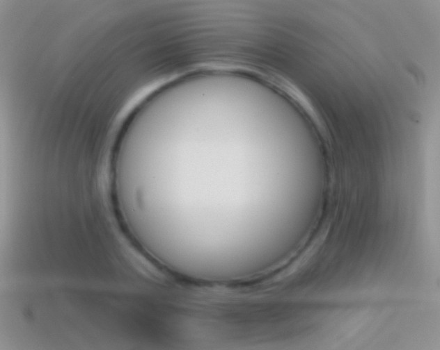 X0000114720787200910211050