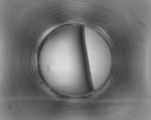 X0000114720788200910211050