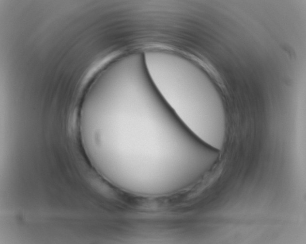 X0000114720790200910211050