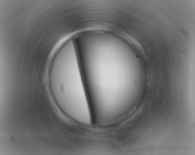 X0000114720792200910211050