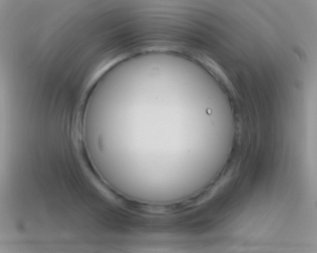 X0000114720794200910211050