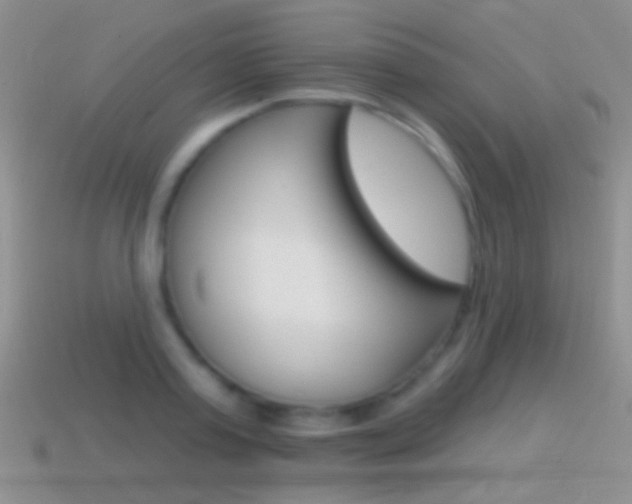 X0000114720795200910211050