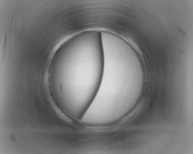 X0000114720797200910211050