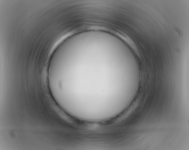 X0000114720798200910211050