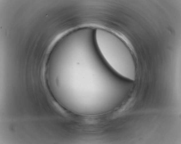 X0000114720799200910211050