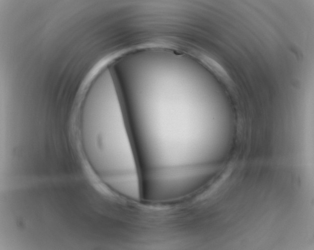 X0000114720800200910211050