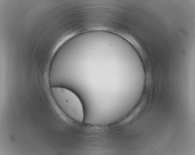 X0000114720806200910211050